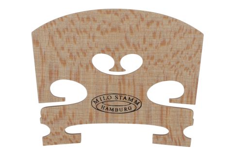 Houslová kobylka