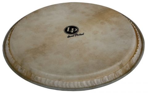 Blána pro Djembe Hand Picked