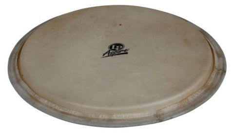 Blána pro Djembe Aspire