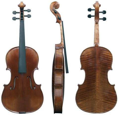 Viola Maestro  6