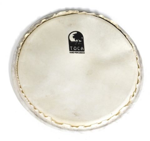 Blána pro Djembe Freestyle Rope