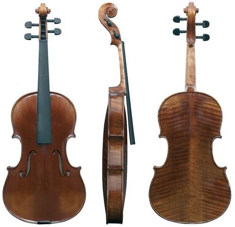 Viola Maestro  6