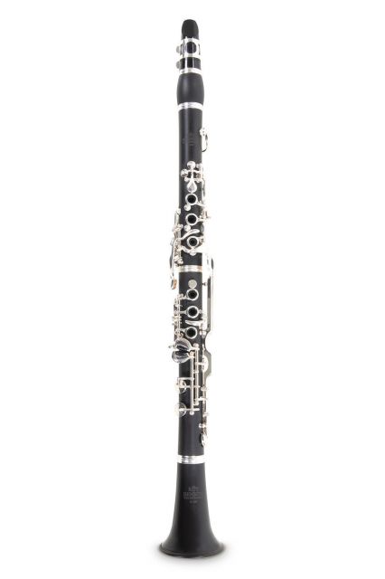 Bb-klarinet pro děti Roy Benson CG-200B