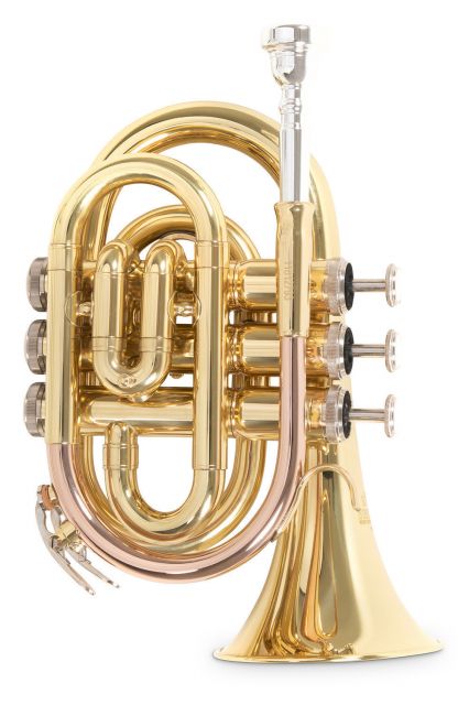Bb – kapesní trumpeta Roy Benson PT-101