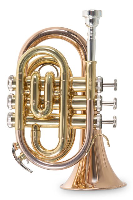 Bb – kapesní trumpeta Roy Benson PT-101G