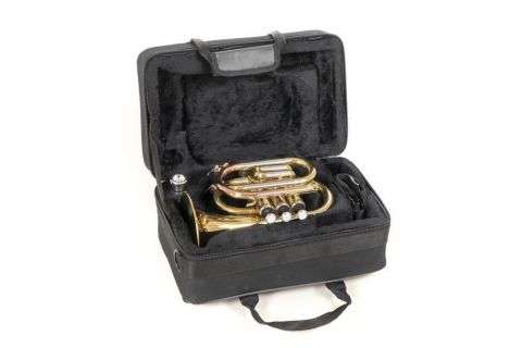 Bb – kapesní trumpeta Roy Benson PT-302
