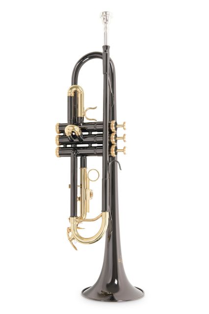 Bb-trumpeta Roy Benson TR-101K