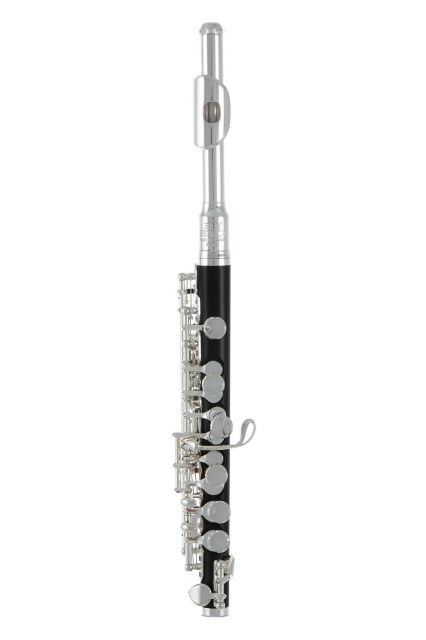 Piccolo flétna Roy Benson PC-502