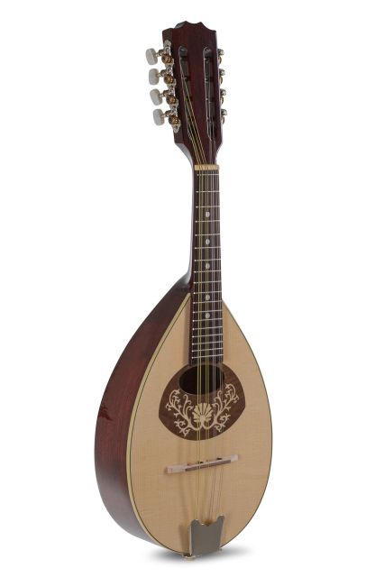 Plochá mandolína Pro Arte Model 1