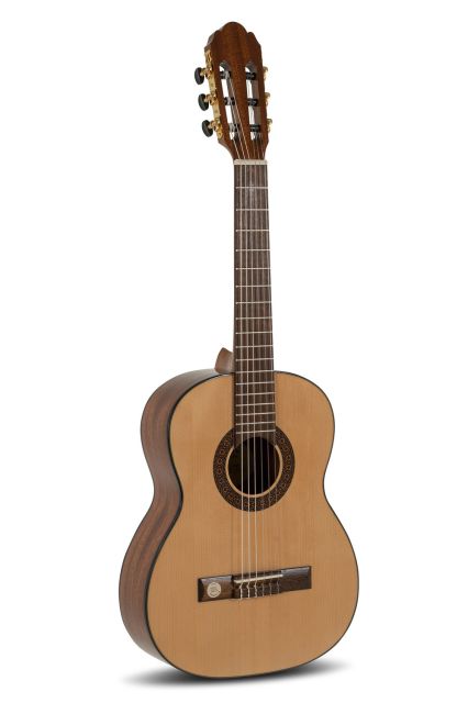 Koncertní kytara Pro Arte GC 50 A Koncertní kytara Pro Arte GC 50 A