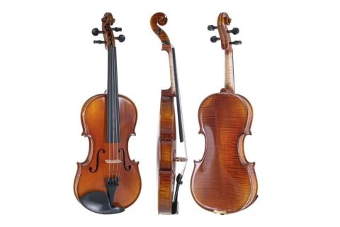 Housle Maestro 1