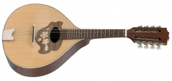 Plochá mandolína Pro Arte  Model 2 Vysoký lesk