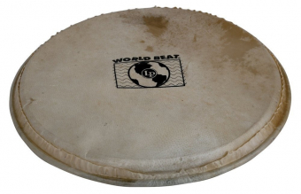 Latin Percussion Blána pro perkuse Plenera