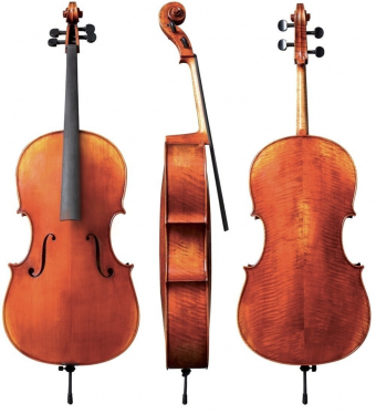 Cello Maestro  24 1/2