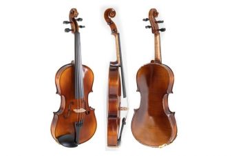 Viola Allegro-VA1 33,0 cm  (1/2 Viola) včetně Setup, tvarového pouzdra, Massaranduba smyčce, AlphaYue strun