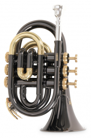 PURE GEWA Bb – kapesní trumpeta Roy Benson PT-101K