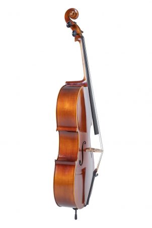 Cello Allegro-VC1 4/4 Setup, včetně povlaku, Massaranduba smyčce, Crown strun