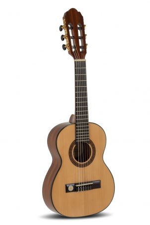 Koncertní kytara Pro Arte GC 25 A 1/4 velikost