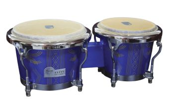 Bongo  7