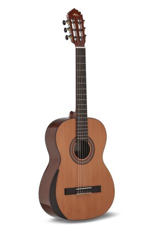 TRADICÍON Serie Klassik 4/4 size T-65 TRADICÍON Serie Klassik 4/4 size T-65