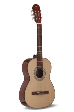 ESTUDIO Series Spruce highgloss  7/8 size Vysoký lesk