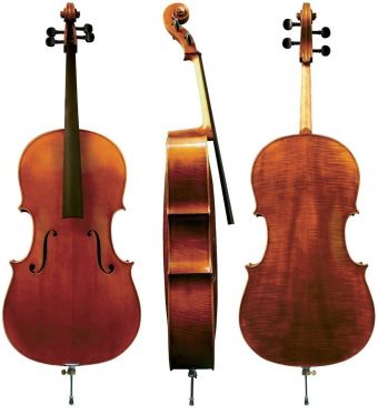 Cello Maestro  6  1/2 Hratelné provedení