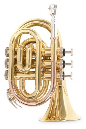 Bb – kapesní trumpeta Roy Benson PT-101  PT-101