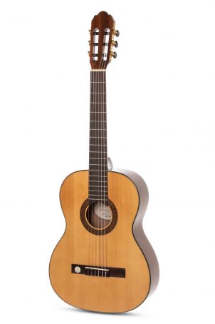 Klasické kytary Pro Arte GC 100 A  Senorita 7/8 Lefthand