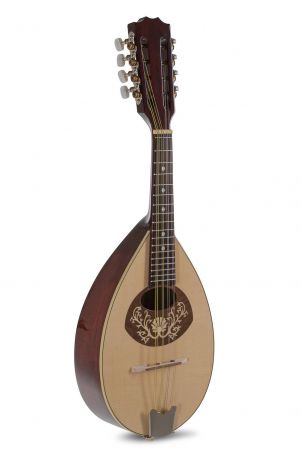 Plochá mandolína Pro Arte Model 1  Vysoký lesk